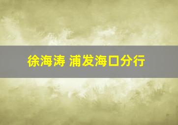 徐海涛 浦发海口分行